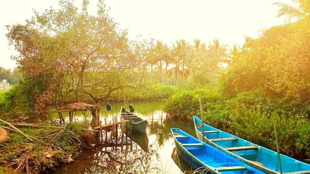 Shruthi'S Aarohi-Nature'S Retreat Mulappilangād 외부 사진