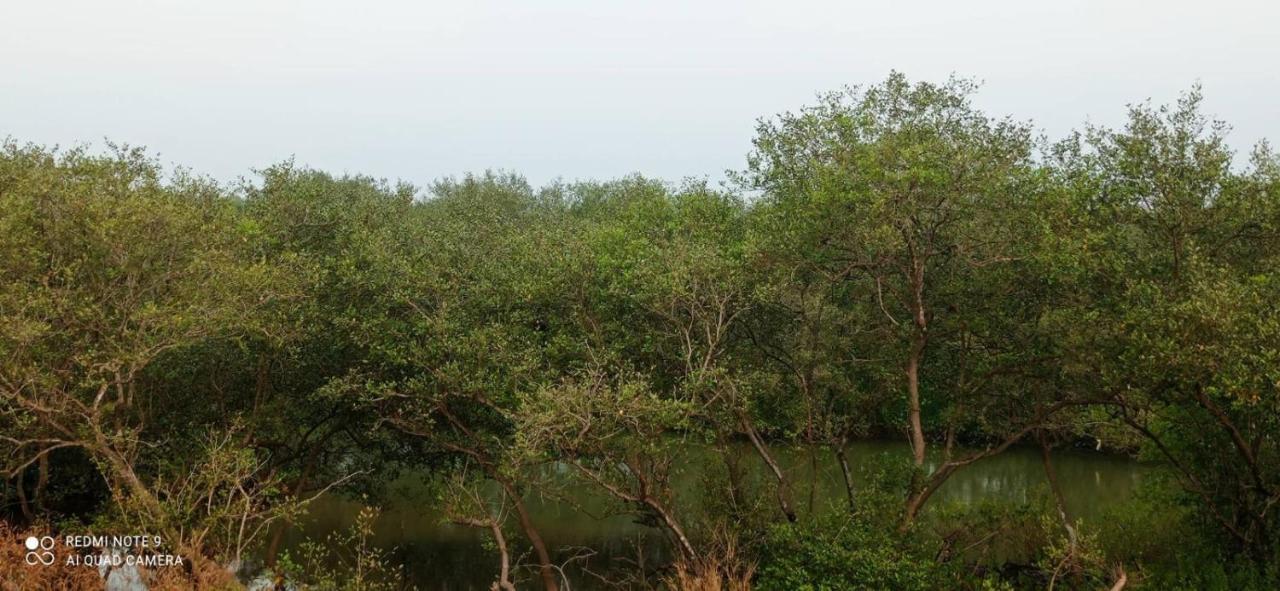 Shruthi'S Aarohi-Nature'S Retreat Mulappilangād 외부 사진