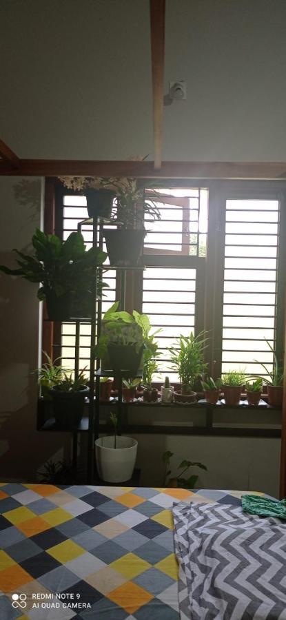 Shruthi'S Aarohi-Nature'S Retreat Mulappilangād 외부 사진