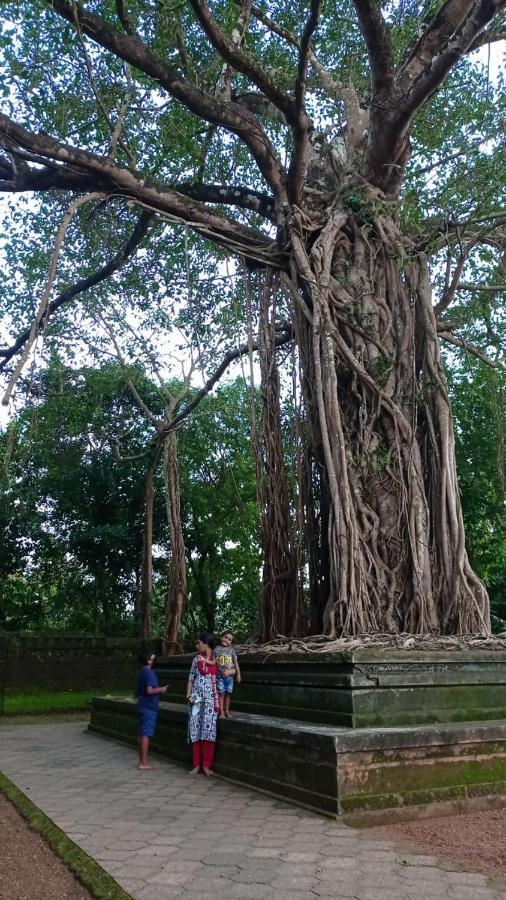 Shruthi'S Aarohi-Nature'S Retreat Mulappilangād 외부 사진