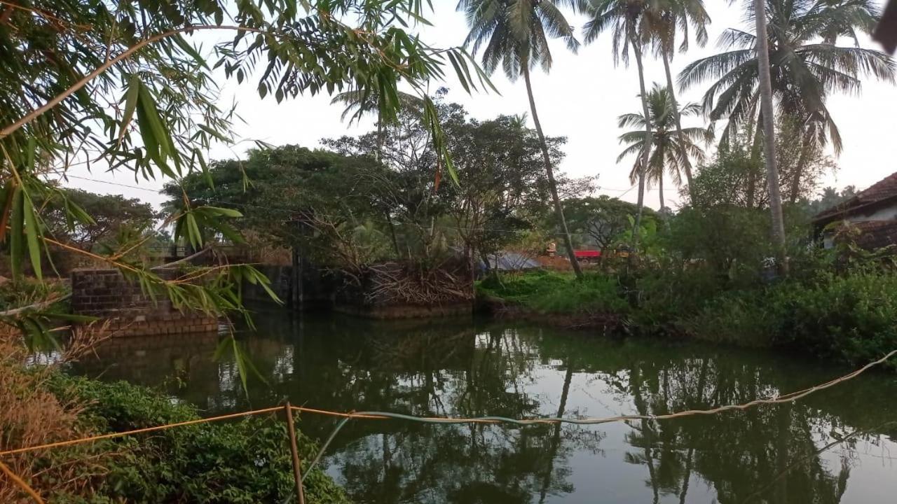 Shruthi'S Aarohi-Nature'S Retreat Mulappilangād 외부 사진