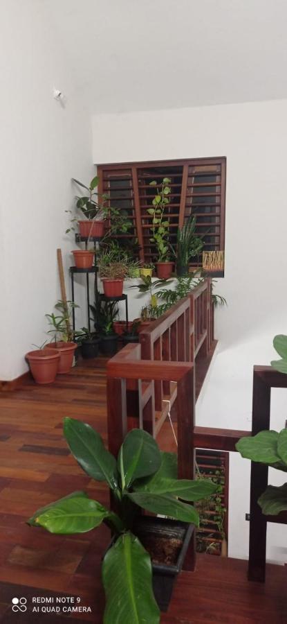 Shruthi'S Aarohi-Nature'S Retreat Mulappilangād 외부 사진