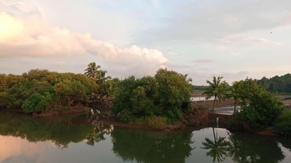 Shruthi'S Aarohi-Nature'S Retreat Mulappilangād 외부 사진